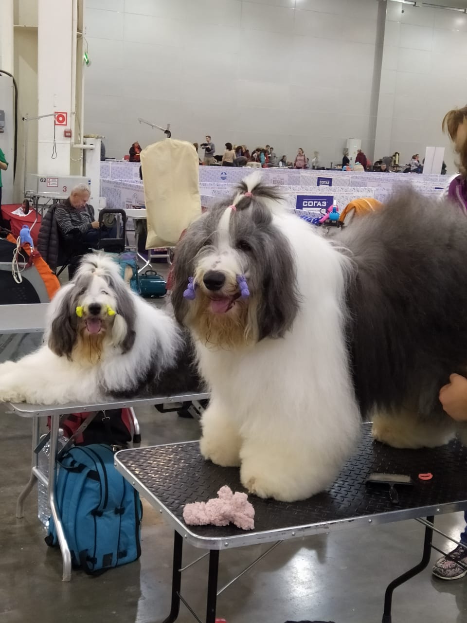 Международная выставка Россия 2019